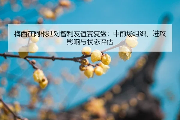 mei-xi-zai-a-gen-ting-dui-zhi-li-you-yi-sai-fu-pan-zhong-qian-chang-zu-zhi-jin-gong-ying-xiang-yu-zhuang-tai-ping-gu-2-675.jpg